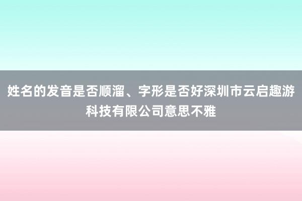 姓名的发音是否顺溜、字形是否好深圳市云启趣游科技有限公司意思不雅